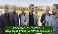 توسعه کشت گلخانه‌ای و بهینه‌سازی دامداری صنعتی در دستور کار شورای ماده ۱۷ گلپایگان قرار گرفت